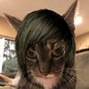 momo.cringebringe