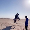 محمد العنزي🐎