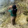 amel.parere