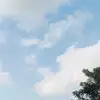 sofiaa.968