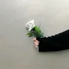 asheeqa.id