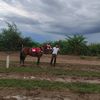elgallinalcaraz