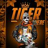 tiger_here_10