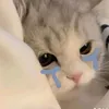 vy_.223