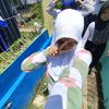 nazia_ror