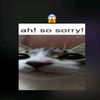 user69404098134673