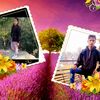 manbasnet11