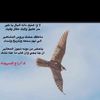 user7822548106703
