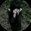 zip_930.0