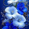 user5380062330332