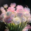 phng.anh7591
