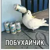 sysluk_14