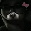 zu_kr3