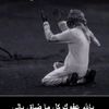 user2503213079255