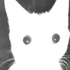 trummxaolon