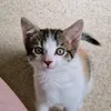 cats_lover47