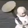 pecintaleon