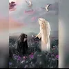 ogscgwcj