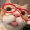 rosalina_177