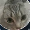 __83334