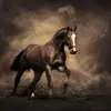 ______0o_o0______