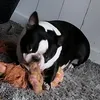 kaassfnqypn