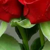 abaas_683