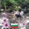 krasimiravladova