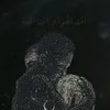 a_____f_____a
