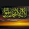 user8793186822061