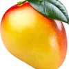 m_rezendeb