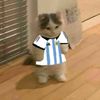 jordanbobo24
