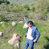 ali.akyol30