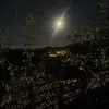 amybee319