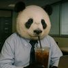 pandaguichard81
