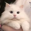 cutiepie583