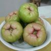 lalang.sugiri