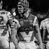 nrl.ponga