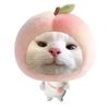 wat_lee8
