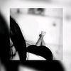 sylv_022
