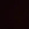 username19387648292654