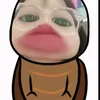 qbi_pn