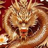 user041323749