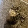 jadacadabra