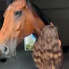 elizaaliko3