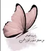 _butterflay_1