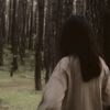 _shintaa15