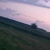 necuuskolupls