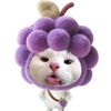 nutchakakhong4