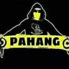syah8351